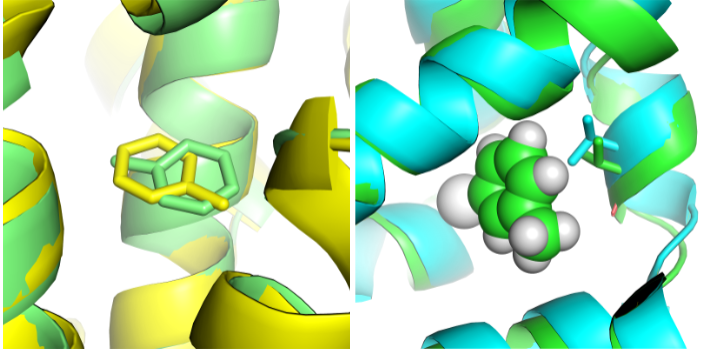 Ligands