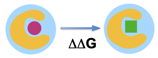 binding free energy